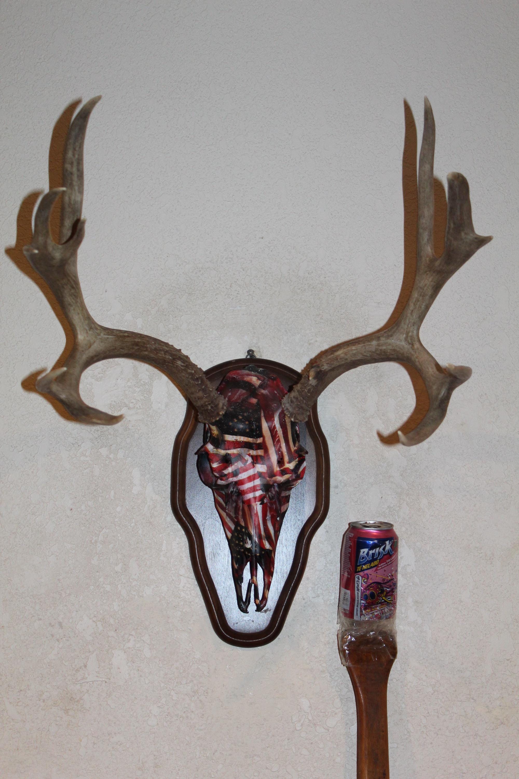 European Mount Log - Etsy, image size:2000x3000