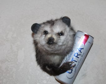 New Beer Drinking Opossum Hang Mount Taxidermy Antler Novelty Whitetail Deer Fur