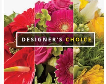 Tuck Buddies KIDDOS Bikini: Gender Affirming Underwear - Designer's Choice