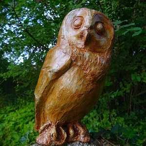 the owl