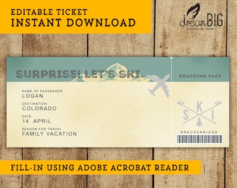 Ski Trip Surprise Fake Plane Ticket - Printable Boarding Pass - Birthday Family Anniversary Trip Flight  - INSTANT DOWNLOAD - EDITABLE Text