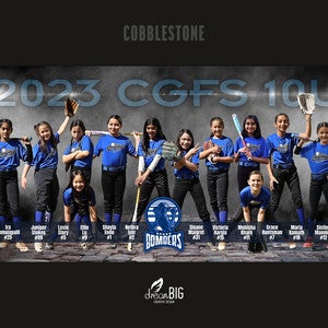Baseball Banner, Team Poster, Custom Design, Choose Colors and Size, Designed with Your Photos image 7