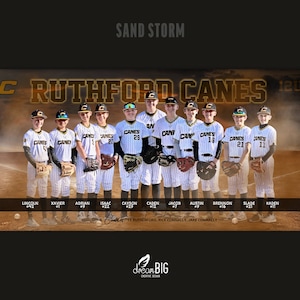 Baseball Banner, Team Poster, Custom Design, Choose Colors and Size, Designed with Your Photos image 9