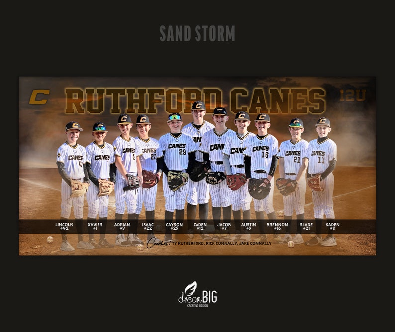 Baseball Banner, Team Poster, Custom Design, Choose Colors and Size, Designed with Your Photos image 9