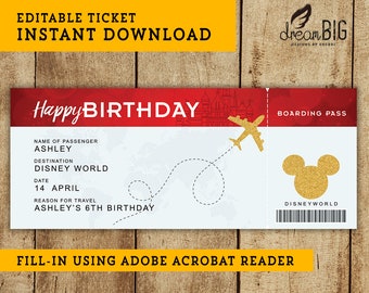Birthday Disney Plane Ticket - Printable Boarding Pass - Surprise Trip or Flight Gift - INSTANT DOWNLOAD - EDITABLE Text