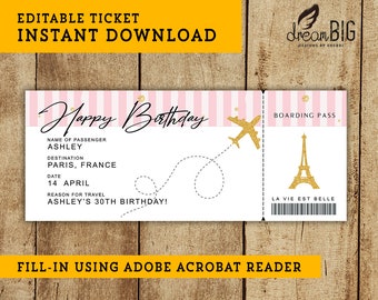 Birthday Paris Fake Plane Ticket - Printable Boarding Pass - Surprise Trip or Flight Gift - INSTANT DOWNLOAD - EDITABLE Text