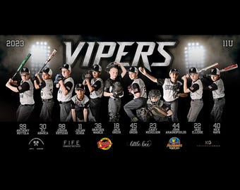 Vipers basebollbanner Photoshop-mall - 8'x4' och 6'x4' PSD-fil plus Canva-alternativ