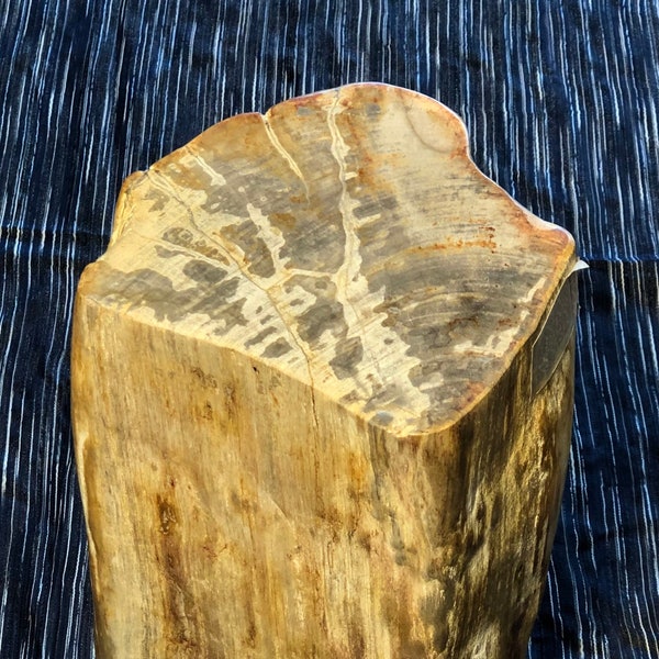 Petrified Wood Stool Etsy