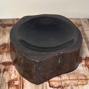 SPECIAL! ! 69 dollars ! ! Extra Large !! Petrified Wood Bowl. Coffee Table. Entryway. Catchall.