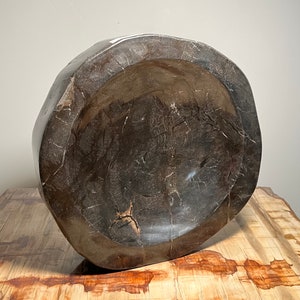 SPECIAL! ! 59 dollars ! ! Extra Large !! Petrified Wood Bowl. Coffee Table. Entryway. Catchall.