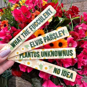 Funny plant label for gardener, flower tag, funny plant stake, seed marker which can be personalised. A great gardening gift! Secret Santa!