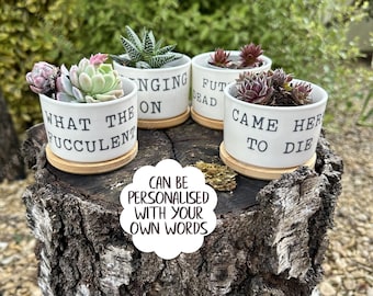 Personalised funny succulent plant pot, flower pot, gift for gardener