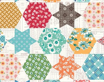 Tramposo del mercado de pulgas Multi, Riley Blake