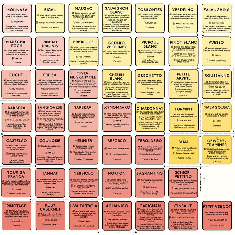 De Longs Wine Grape Varietal Table / Chart 24 X - Etsy New Zealand