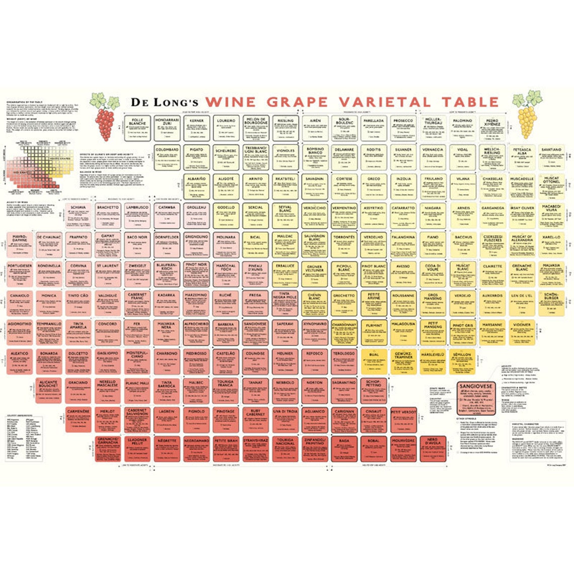 De Longs Wine Grape Varietal Table / Chart 24 X 36 - Etsy