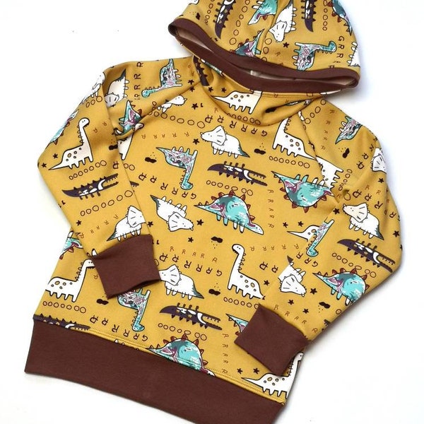 Dinosaur sweatshirt hoodie, Fleece lined, Roar, Unisex clothing, Kids jumper, Toddler pullover, Newborn to 12 years