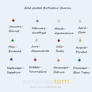 Choice of twelve Gold plated birthstone charms.