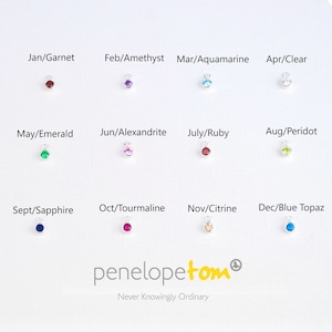Twelve birthstone charms showing the stone and the month