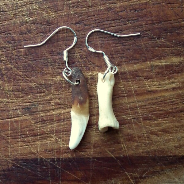 Wolf Tooth and Bone Earrings Mix