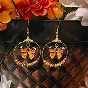Butterfly earrings/Monarch  butterfly earrings/hoop earrings/earrings/butterflies/Monarch Butterflies