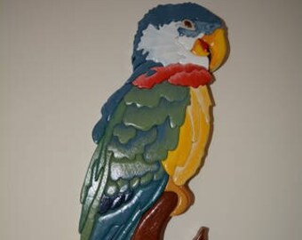 Bird Parrot Bright