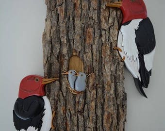 Woodpecker Family