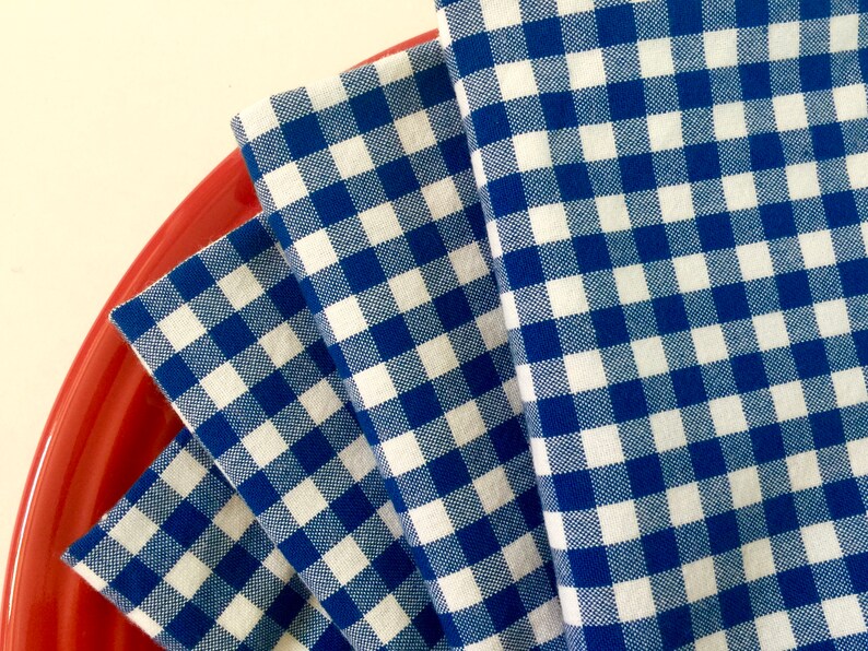 Gingham Cloth Napkinsblue & White Checkset of 4 Etsy