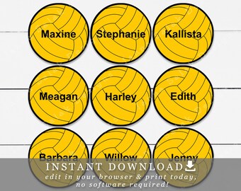 Water Polo Balls Pins 10 Pack Waterpolo Party Favors Etsy