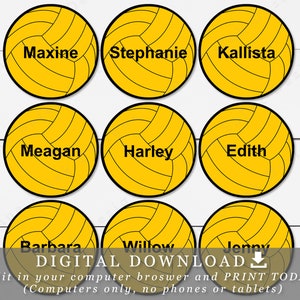 2.5" Water Polo Balls  With Editable Names / Text Printable Cupcake Toppers Tags DIY Template