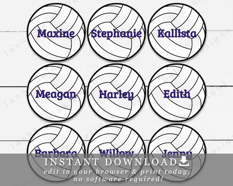 2.5 Volleyballs With Editable Names / Text Printable Etsy