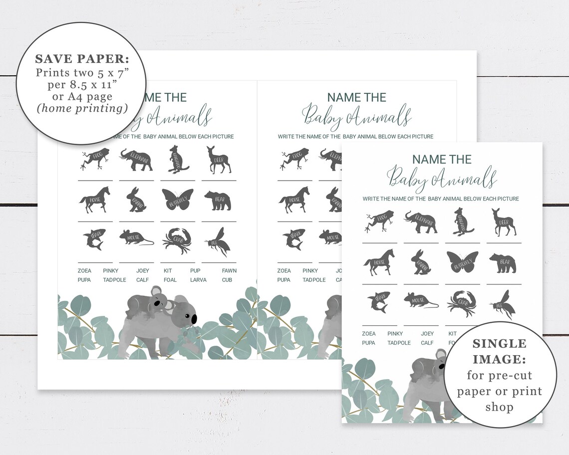 Name The Baby Animals Game