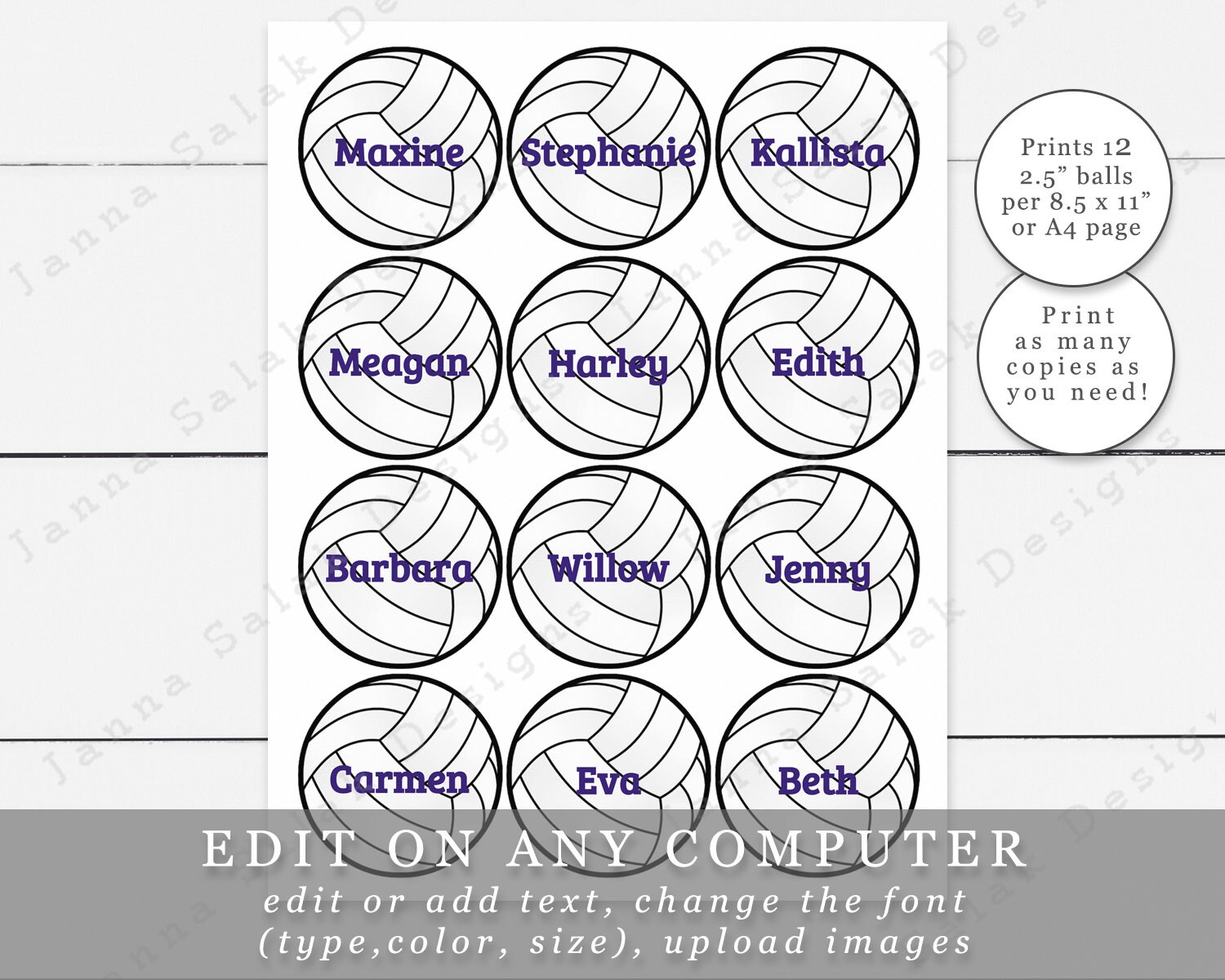 2.5 Volleyballs With Editable Names / Text Printable Etsy