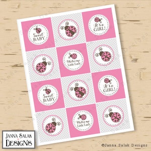 Ladybug Baby Shower Cupcake Toppers Printable Tags Pink and Grey Polka