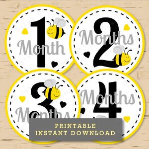 Bee Month Stickers INSTANT DOWNLOAD PRINTABLE Pdf Diy - Baby Girl Milestone Growth Monthly Baby ...