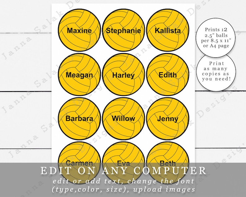 2.5 Water Polo Balls With Editable Names / Text Etsy