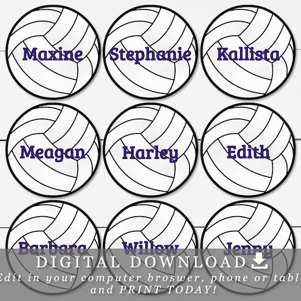 Volleyball Stickers - Etsy