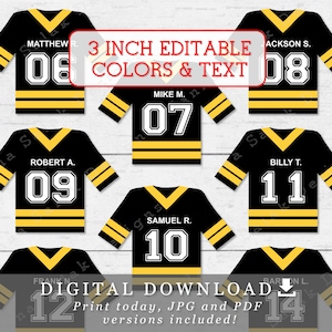 Etichette per maglie da hockey da 3" con nomi, numeri e colori modificabili, modello fai da te