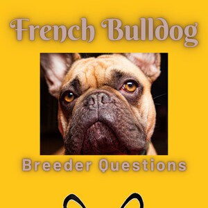 A Printable Checklist for Assessing Potential Breeders for French Bulldogs