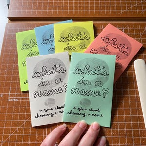 what&#39;s in a name? | illustrated mini zine | chosen name