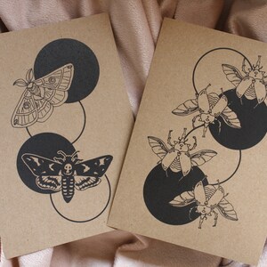 May include: Two kraft paper cards with black insect illustrations. One card features a moth design, the other has beetles. Each design is set against a black circle and connected by a black line.