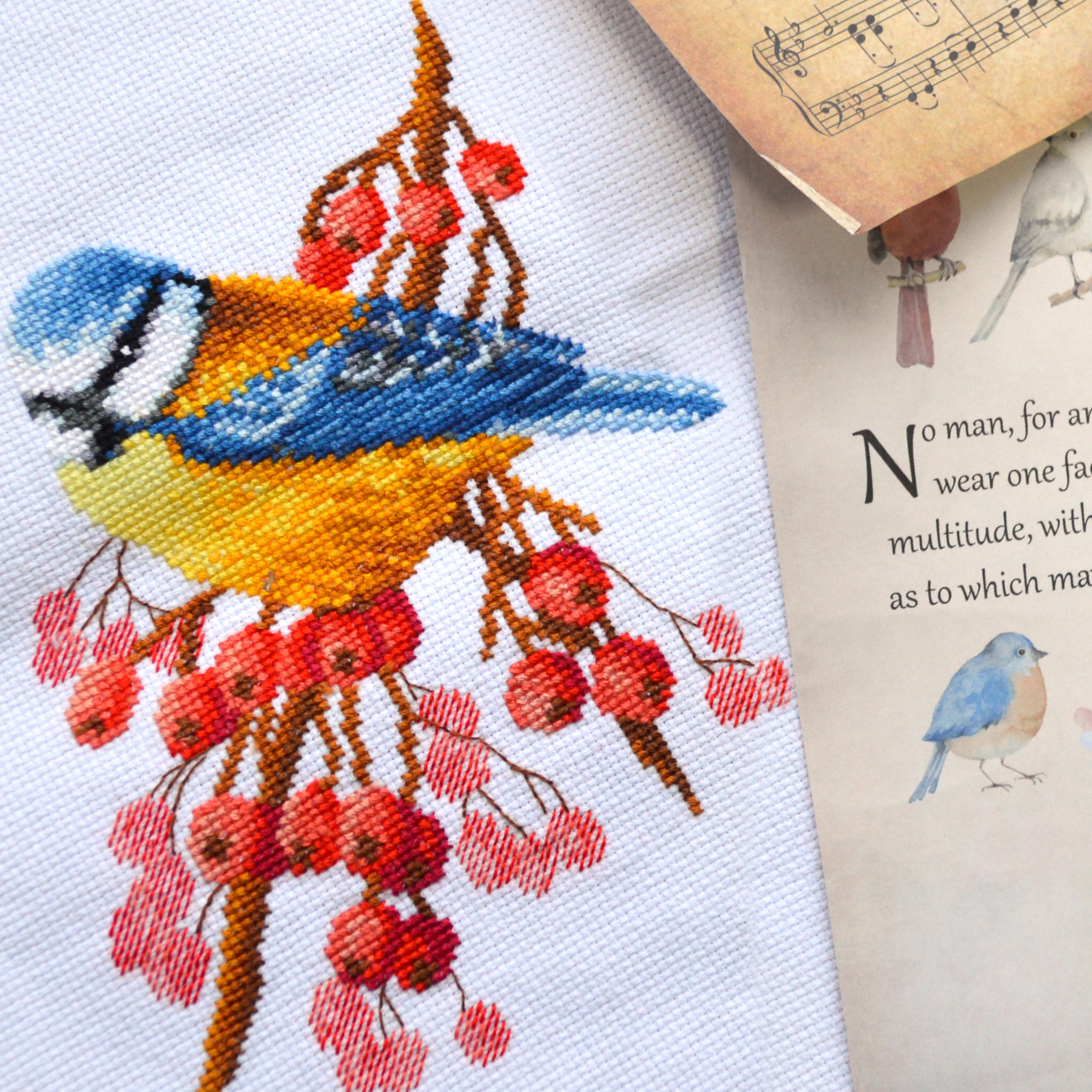 Couronne Mars - Mésange à Longue Queue. Kit Broderie Le Bonheur Des