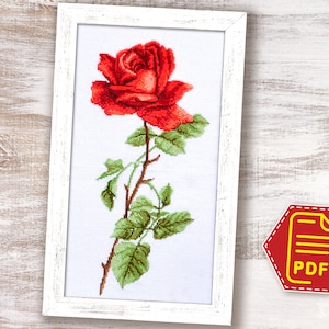 Red rose cross stitch pattern, Flower embroidery design for adults and kids - DIY Mothers day gift - Instant Download in PDF