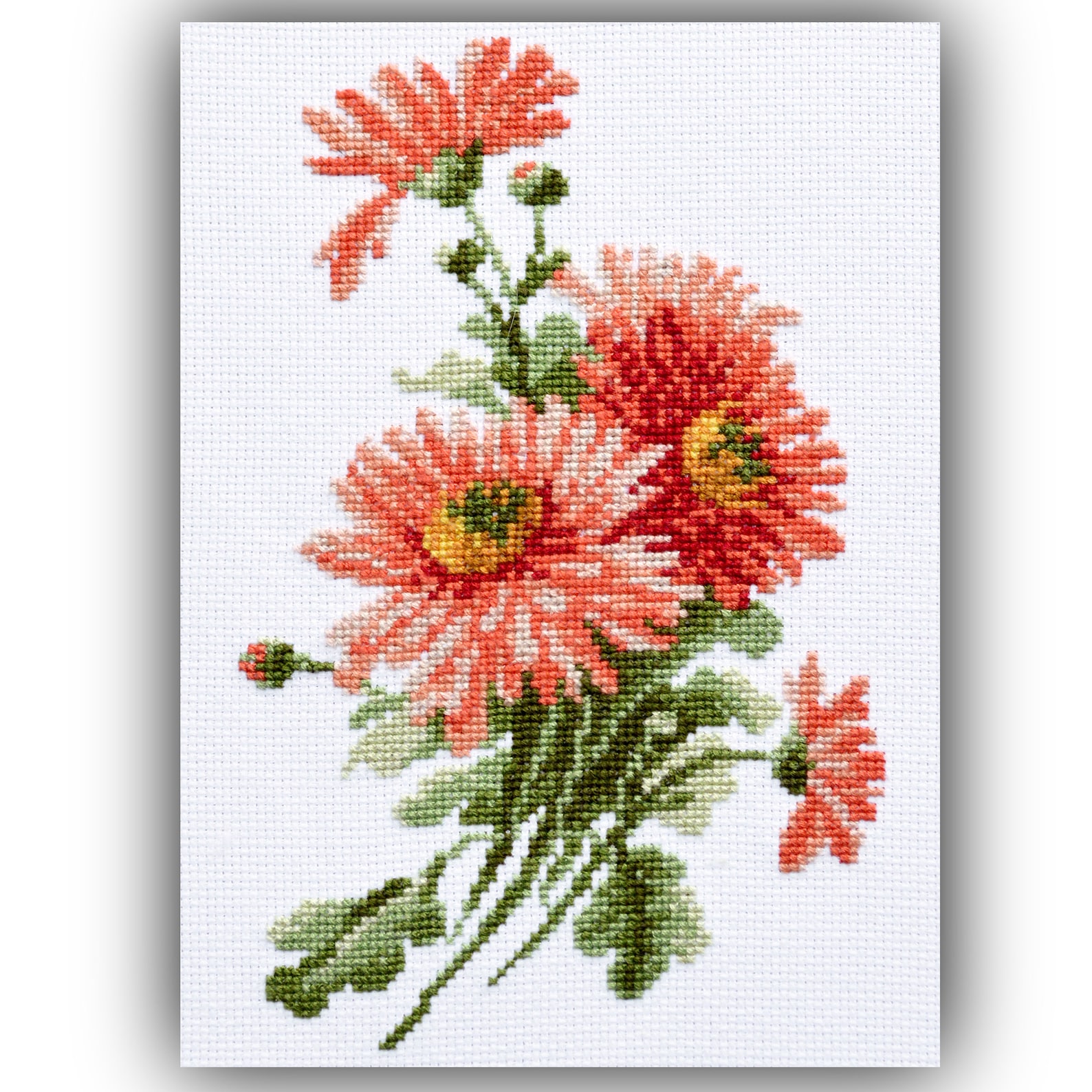 Pink Asters Cross Stitch Kit Flowers Embroidery Kit for Kids Etsy