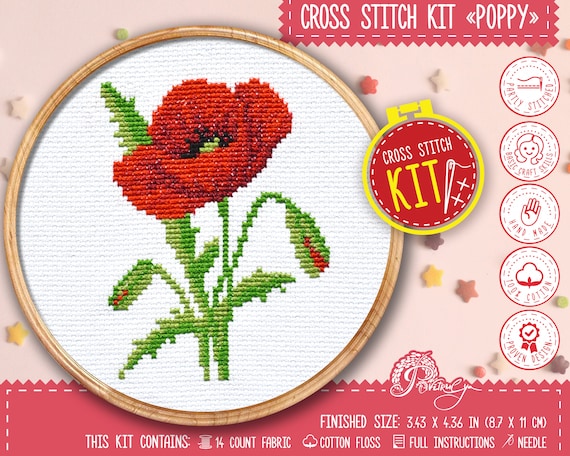 Embroidery Kit for Adult Beginner with Instructions Containing