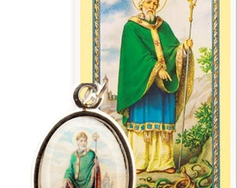 St Patrick Patron of Ireland Silver Plated Medal Free Prayer Card (C-3510-HC217)