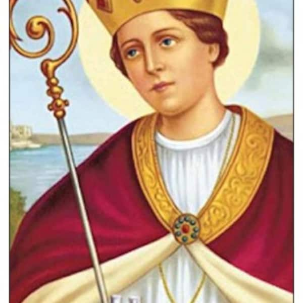 Saint Gennaro of Napoli  Protector of Napoli  Patron of blood banks Blood Diseases Laminated Prayer Card Imported from Italy