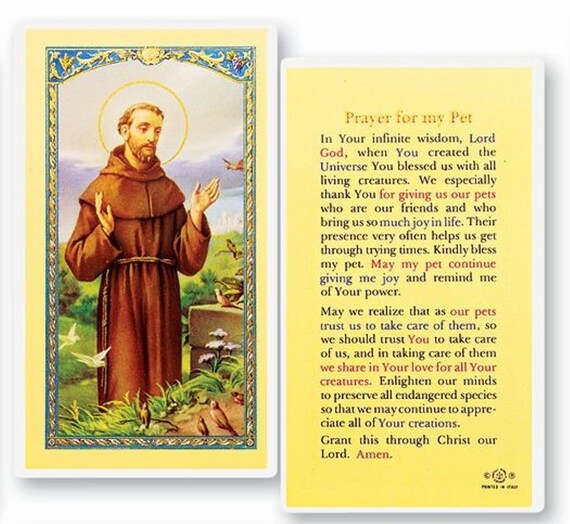 Prayer for My Pet St Francis of Assisi Patron Saint of Animal - Etsy Sweden Prayer for My Pet St Francis of Assisi Patron Saint of Animal - Etsy Sweden