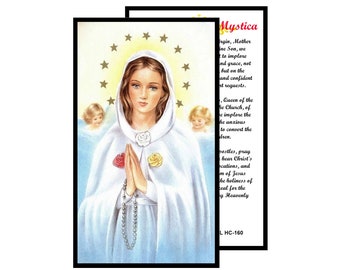 Mysteries of the Holy Rosary Laminated Holy Card Set of 10 - Etsy