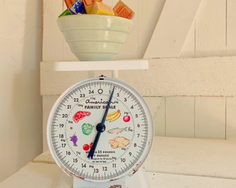 Vintage Kitchen Scale Steel American Family White 25 lb Household Scale