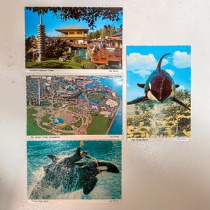 Vintage 1960er Jahre Sea World Postkarten Shamu Diving Whale Ozeanarium Karte Japanisches Dorf Birka